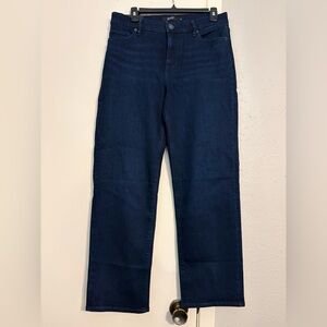Hudson Jeans Deep Indigo Stretch Denim
